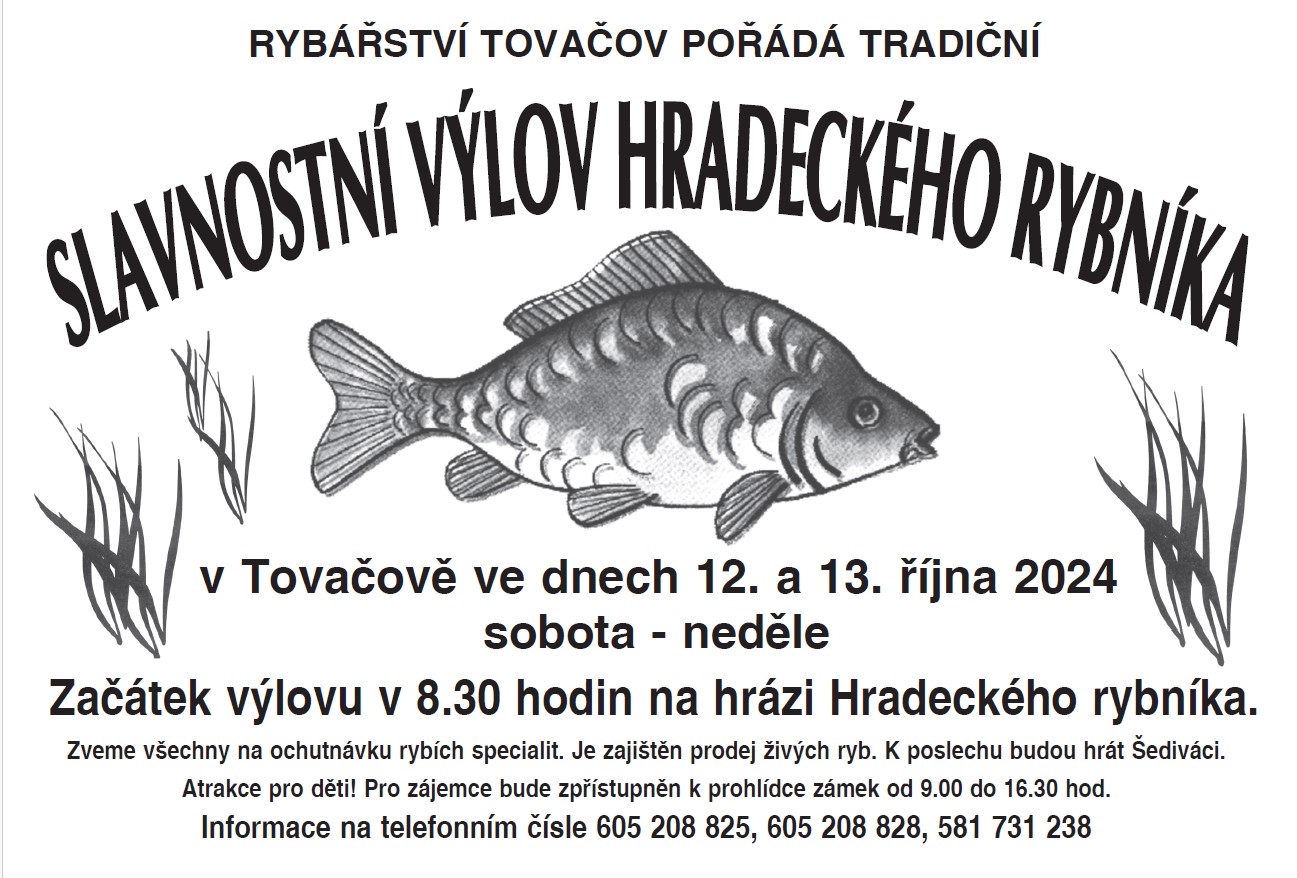 Výlov rybníka 2024 .jpg